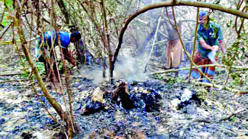 ৩০ ঘণ্টা পর আগুন নিয়ন্ত্রণে বৃষ্টিতে রক্ষা সুন্দরবন ।