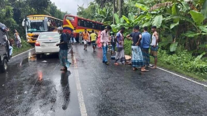 ঢাকা-বরিশাল মহাসড়কে মোটর সাইকেল আরোহী  নিহত।
