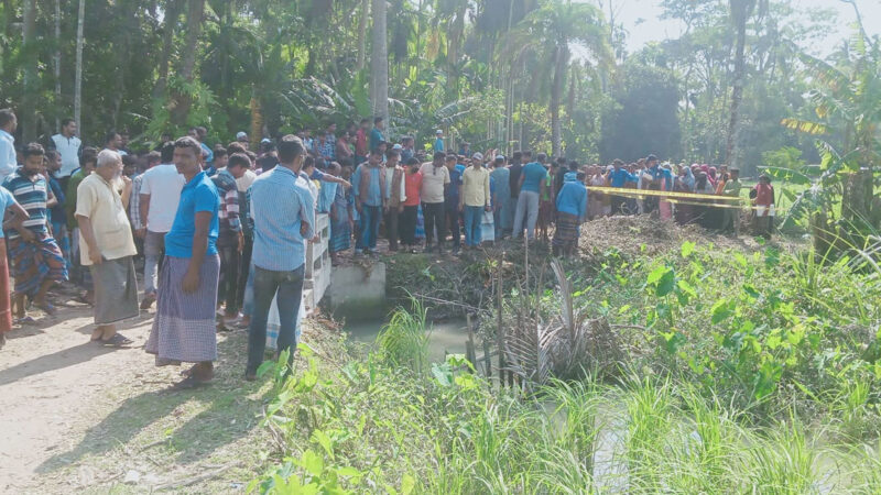 ইউপি সদস্যকে কুপিয়ে হত্যা পিরোজপুরে