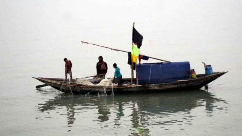 গেল কই সাগরের ইলিশ