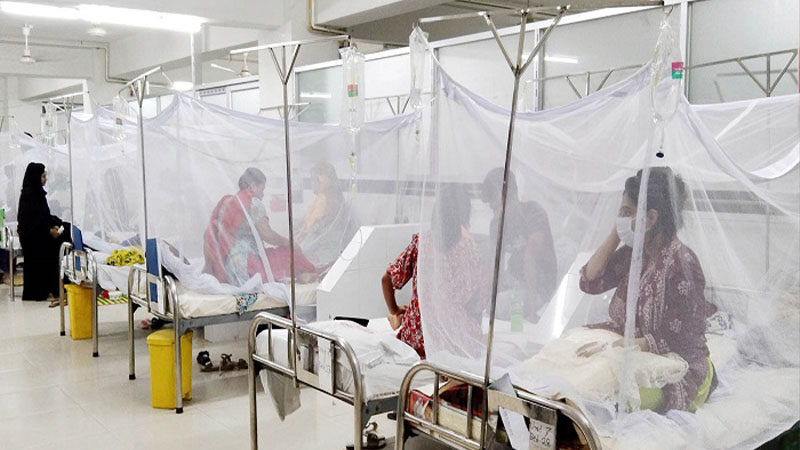 ৩৮ জন হাসপাতালে ভর্তি ডেঙ্গু আক্রান্ত