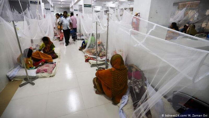 হাসপাতালে ভর্তি আরও ৩২ ডেঙ্গু রোগী