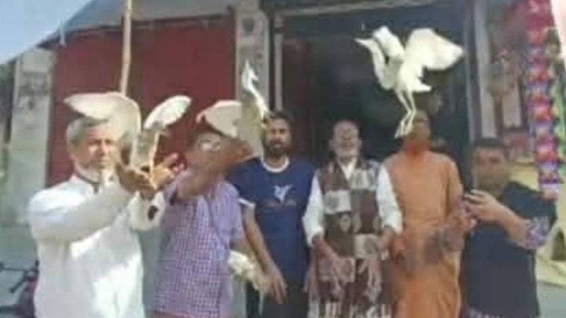 সলঙ্গায় ১০টি বক পাখি অবমুক্ত করলেন সমাজসেবক হাজী সেলিম