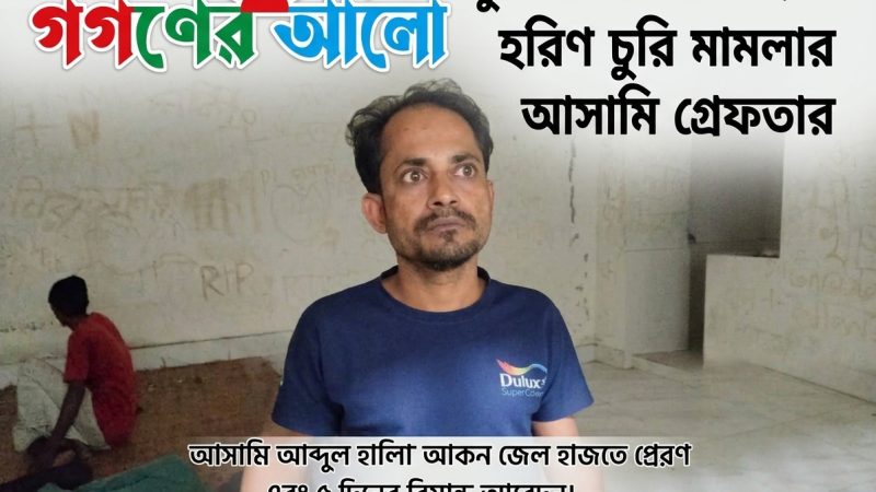 দুর্গাসাগরে চাঞ্চল্যকর হরিণ চুরির মামলায় আরও এক আসামি গ্রেফতার