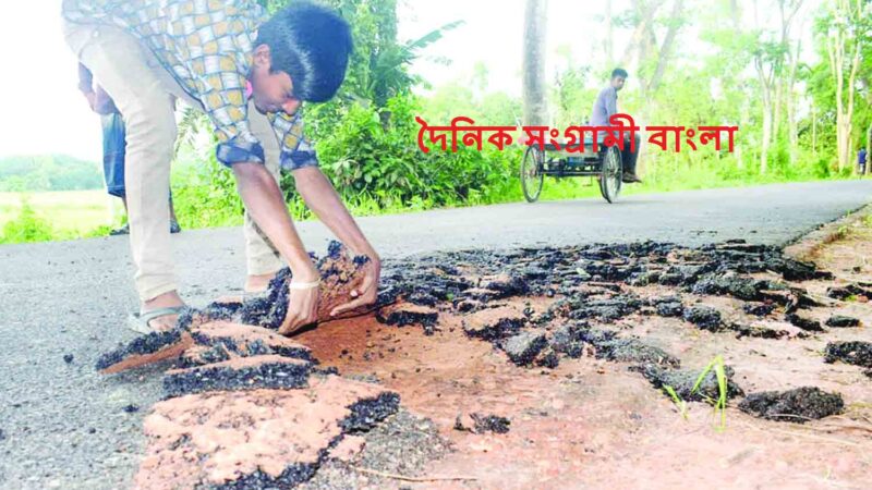 পিচ ঢালাই হাত দিয়ে টেনে তুলছে জনগণ উজিরপুরে