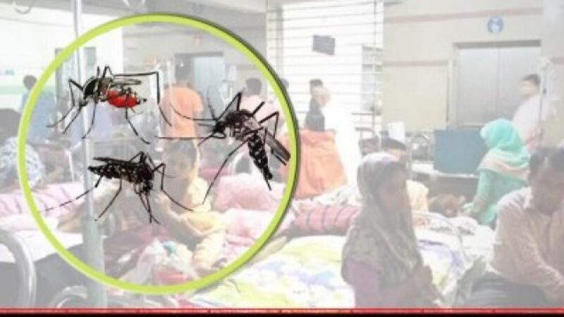 একদিনে ৭০ রোগী শনাক্ত করোনার মধ্যেই ছড়িয়ে পড়ছে ডেঙ্গু