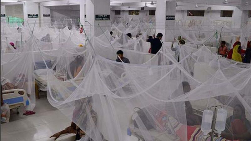 এক দিনে ১২৩ ডেঙ্গু রোগী হাসপাতালে রেকর্ড