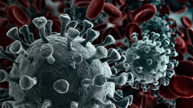 করোনায় আক্রান্ত ও মৃত্যুর সংখ্যা কমেছে বরিশালে