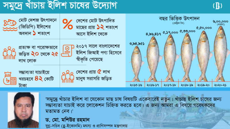 ইলিশ চাষের পরিকল্পনা সমুদ্রে খাঁচায়