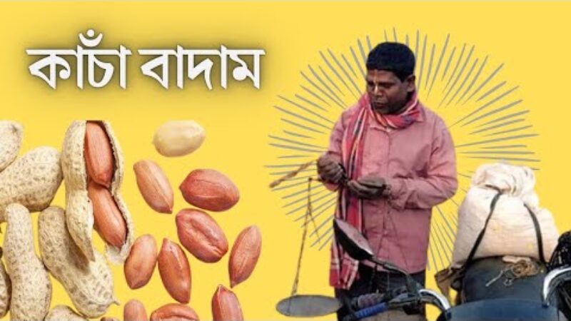 ভাইরাল কাঁচা বাদামের গায়ক