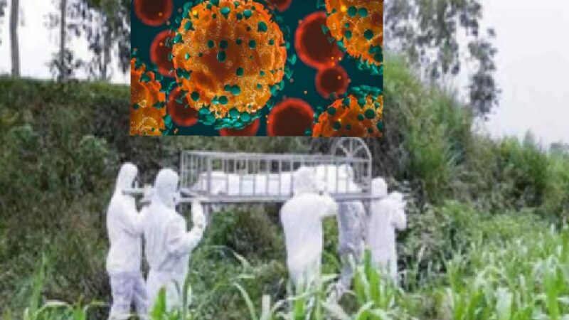 গত ২৪ ঘণ্টায় শনাক্ত ৩৯২৯ করোনায় মৃত্যু ১৫