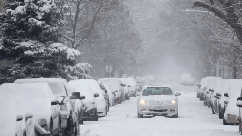 শতাব্দীর ভয়াবহ তুষারঝড় যুক্তরাষ্ট্রে নিহত ৫০