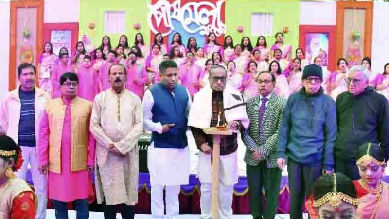 পিঠাপুলির উৎসব