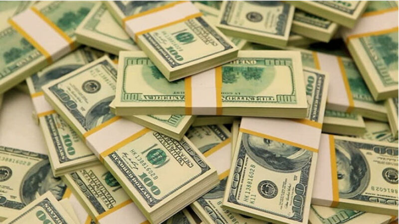 সাড়ে ১৯ বিলিয়ন ডলার ১১ মাসে রেমিট্যান্স এসেছে