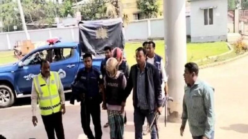 জোড়া খুনের ঘটনায় দুই কিশোর গ্রেফতার