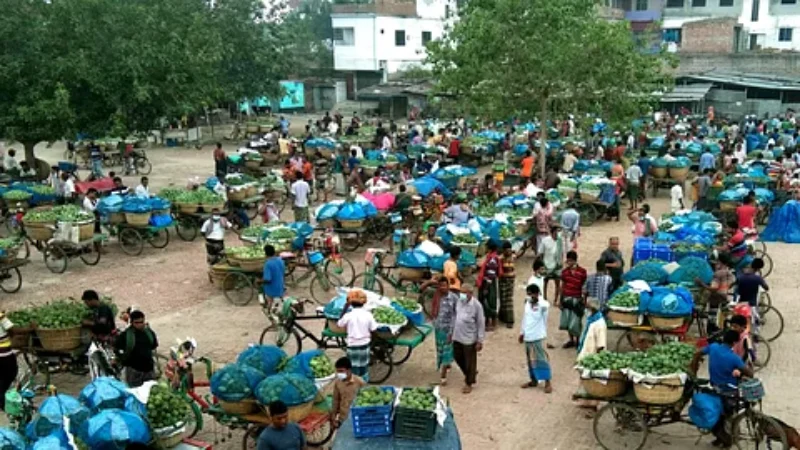 সাতবার টোল–চাঁদা এক আমে