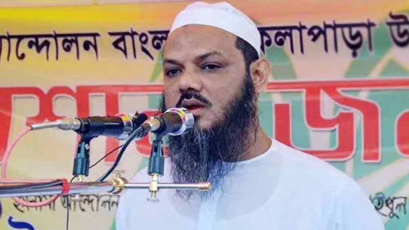 মন্ত্রিসভার প্রতি জনগণের আগ্রহ নেই ডামি নির্বাচন