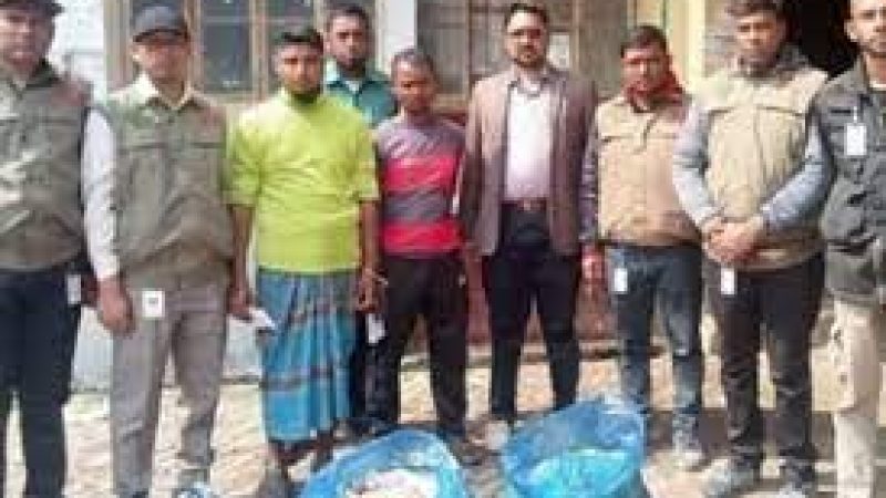 দুই বিক্রেতাকে জরিমানা বরিশালে বিলুপ্ত প্রজাতির শাপলা মাছ কেটে বিক্রি