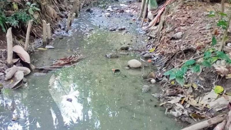 উদ্যোগ নিলেন ইউএনও মরা খাল সচল করার