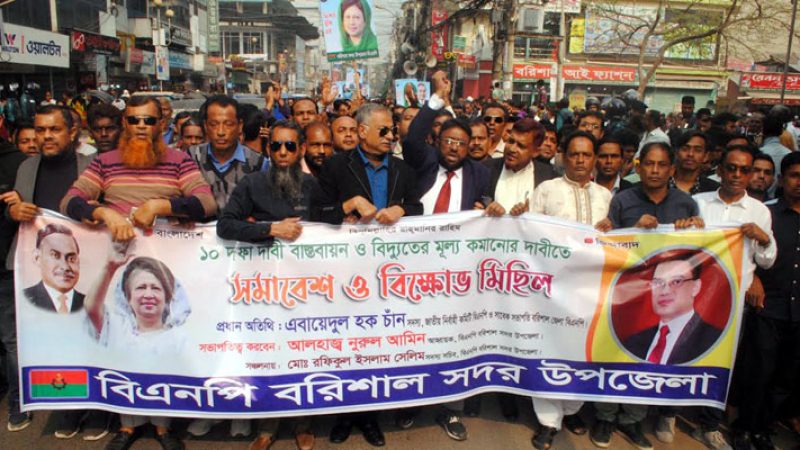 মুখরিত ভোলার রাজপথ বিএনপির আনন্দ মিছিলে