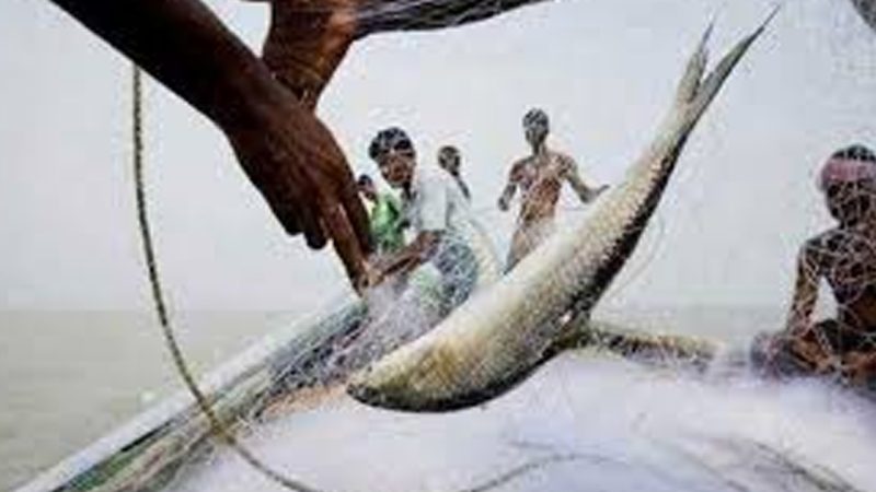 স্বেচ্ছাসেবকদল নেতার ওপর হামলা ইলিশ ধরতে বাঁধা দেওয়ায়, আহত ১০